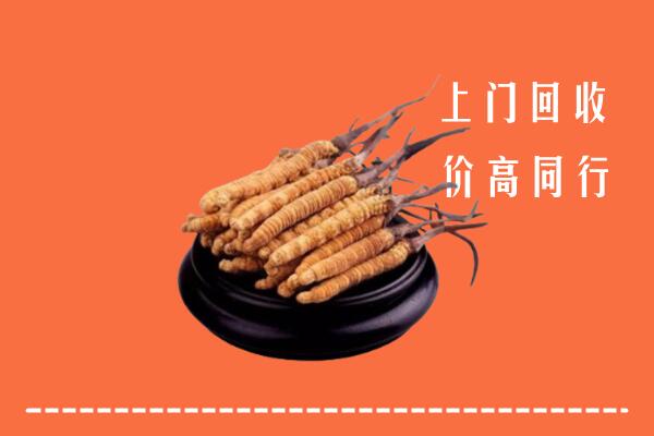 高价求购：随县回收散虫草