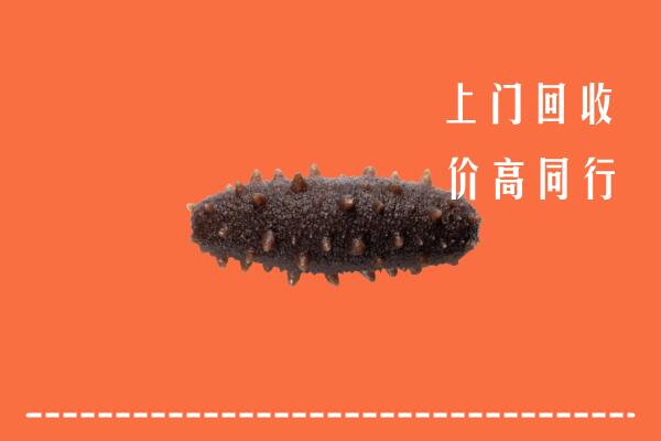 随县回收海参