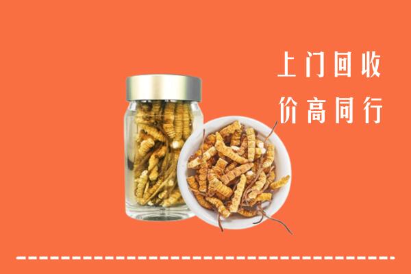 随县回收冬虫夏草